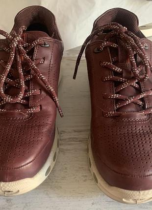 Ессо жіночі кросівки