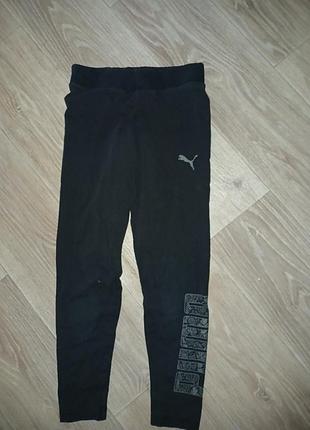 Лосины puma