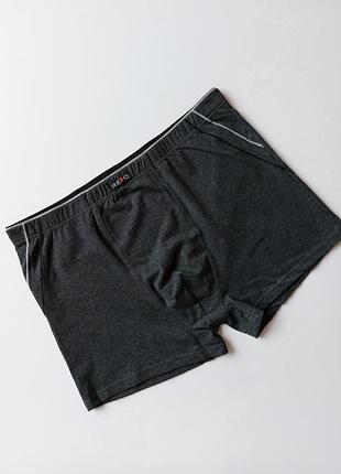 Боксеры баталы польща