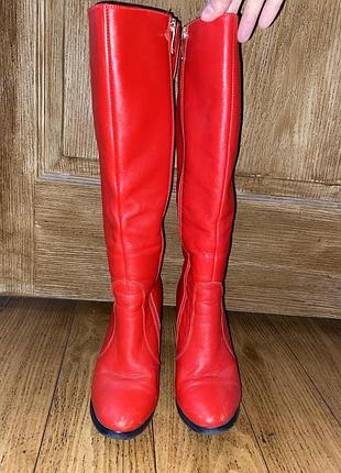 Жіночі чоботи на підборі, демісезон, зима 37 розміру