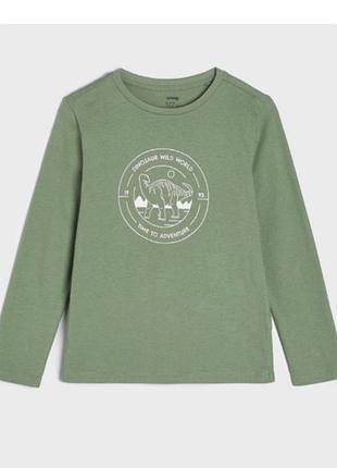 Лонгслив реглан