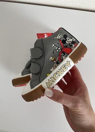 Кеди хайтопи , george , 24 розмір