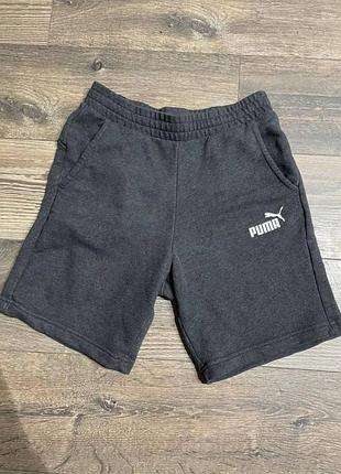 Шорты puma