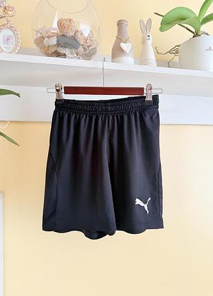 Шорти для спорту