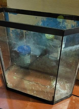 Аквариум для маленьких рыбок