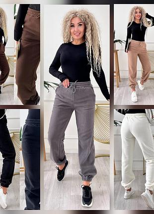 Теплі спортивні штани, 5 кольорів,брюки, джогери фліс