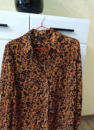 Блуза леопард