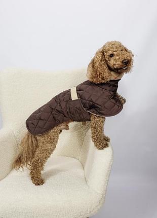 Одежда для собак жилет попона для собак и котов двухсторонние