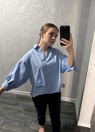 Сорочка голуба класична