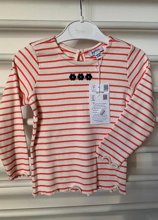 Реглан рубчик ovs