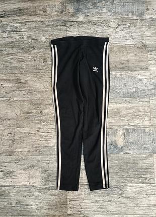 Спортивні лосіни m