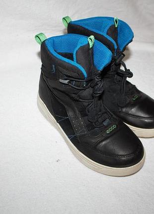 Сапоги фирмы ecco 36 размера по стельке 23 см.