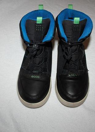 Сапоги фирмы ecco 36 размера по стельке 23 см.