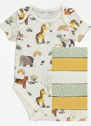 Боди, бодик