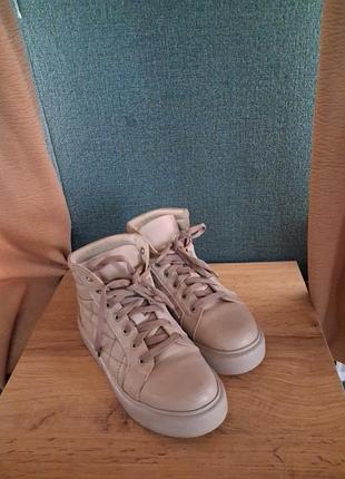 Бежевые зимние кроссовки на шнуровках женские
