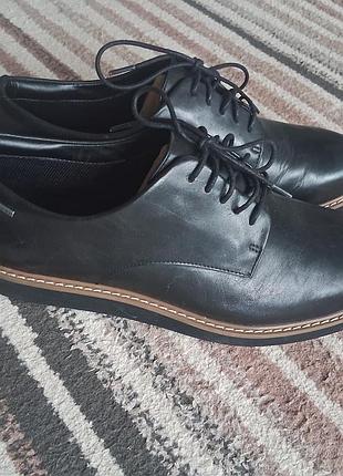 Туфлі clarks