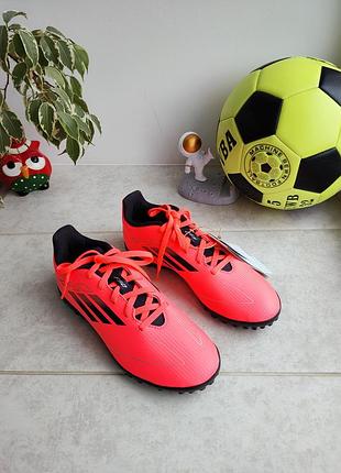 Оригинальные сороконожки