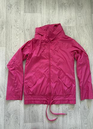 Вітровка puma