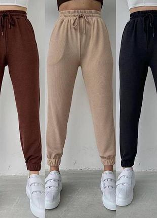 Джогери рубчик