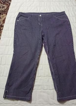 Бриджі в смужку