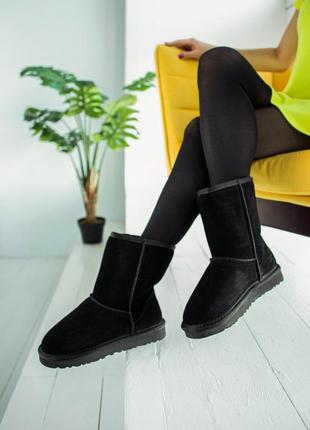 Ugg black, жіночі уггі