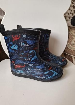 Резиновые сапоги