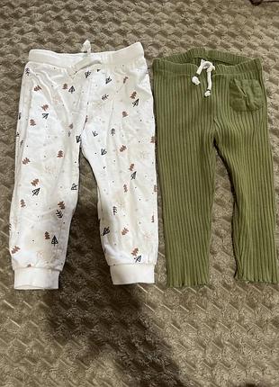 Штани лосини