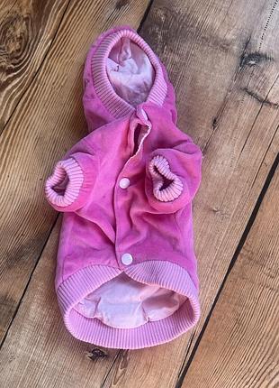 Велюровая кофта для собак