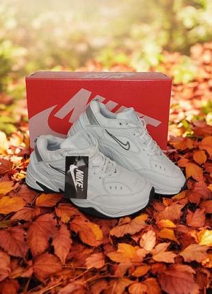 Чоловічі осінні білі кросівки nike m2k tekno