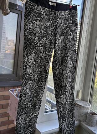 Брюки зміїний принт