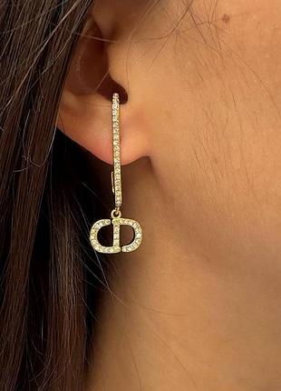 Неймовірні сережки