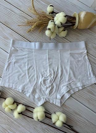 Белоснежные боксеры