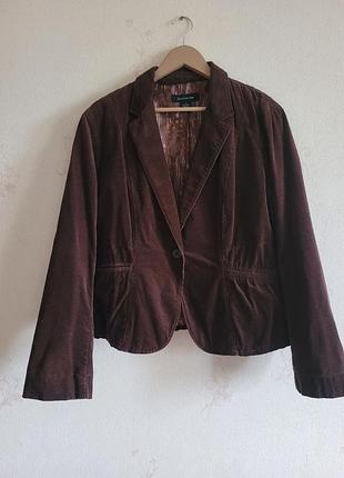 Піджак calvin klein l/g