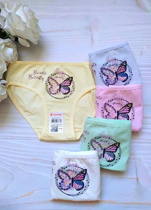 5 шт трусики трусы 8/9 донелла donella