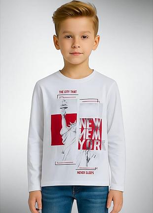 Стильний реглан для хлопчиків zara