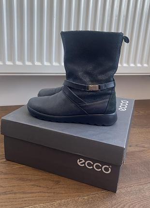 Черевики ecco на дівчинку