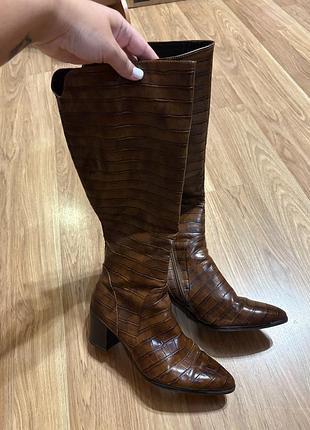 Чоботи, сапожки