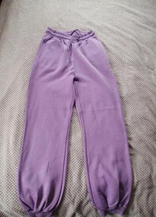 Спортивні штани джогери на флісі