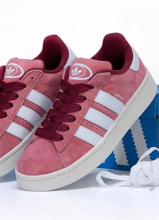 Adidas campus арт 14751