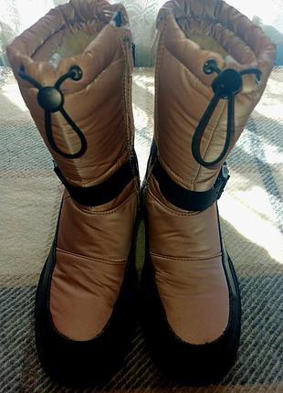 Зимние, теплые череды том.м