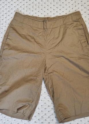 Женские удлиненные шорты песочного цвета размер l