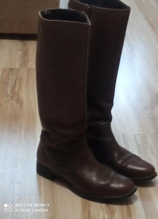 Сапоги женские,кожаные,размер 37, с легким утеплением,весна/осень