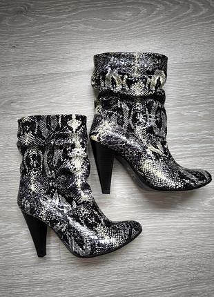 Сапоги сапоги ботинки сапоги сапожки Питон питон казаки на каблуке каблука каблука каблука демосезон