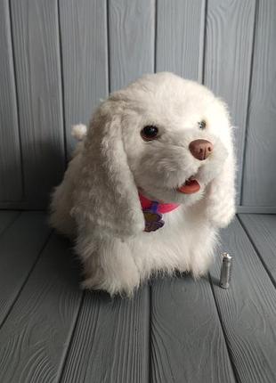 Интерактивная собака, щенок furreal friends на поводке.
