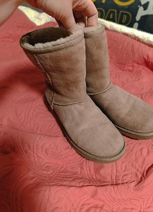 Оригинальн.ugg угги