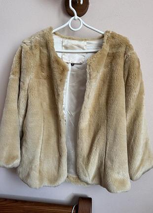 Шубка укорочена