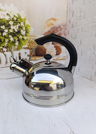 Чайник со свистком a-plus wk-1324 из нержавеющей стали 2.5 л стальной