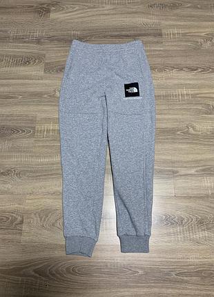 Спортивні штани the north face