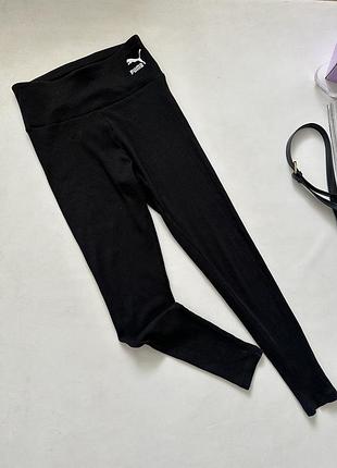 Лосінки пума