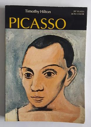 Picasso by timothy hilton